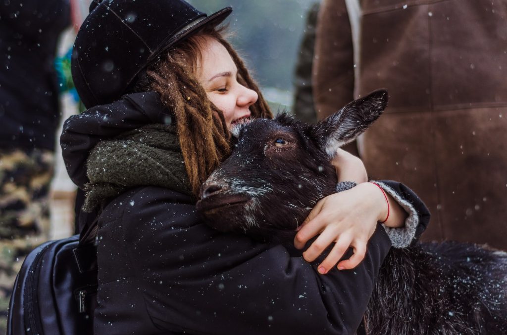 types de calin
