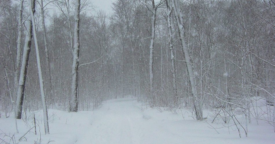 tempête de neige