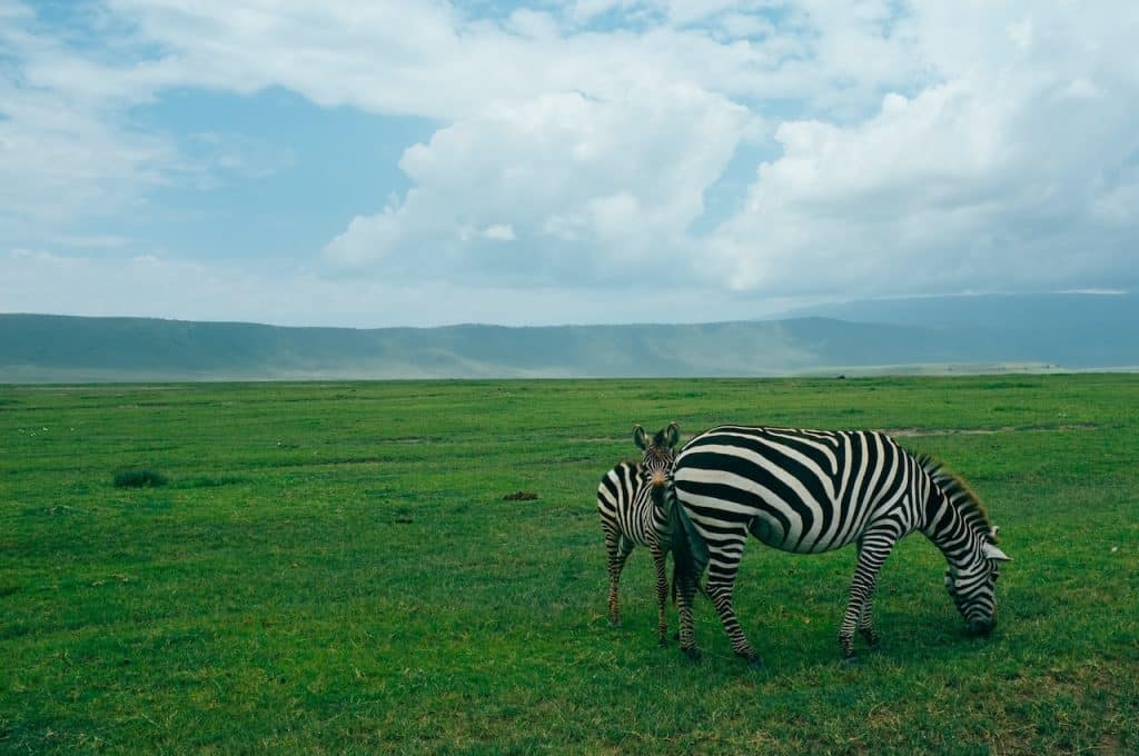 Tanzanie