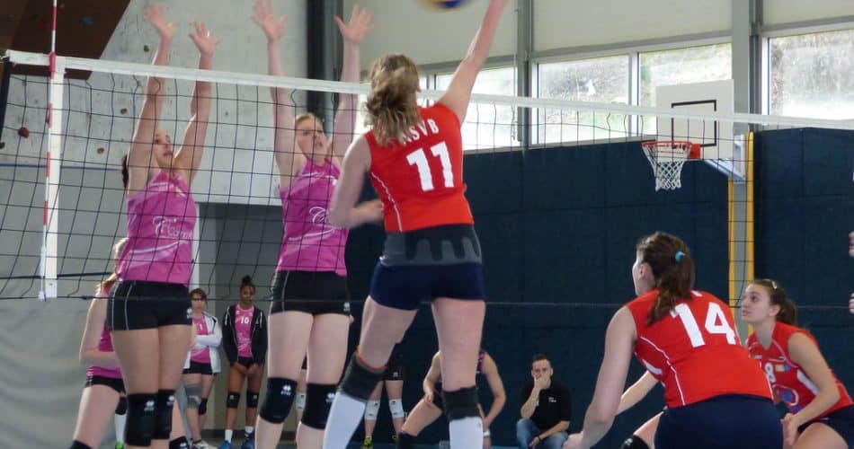 volley-ball