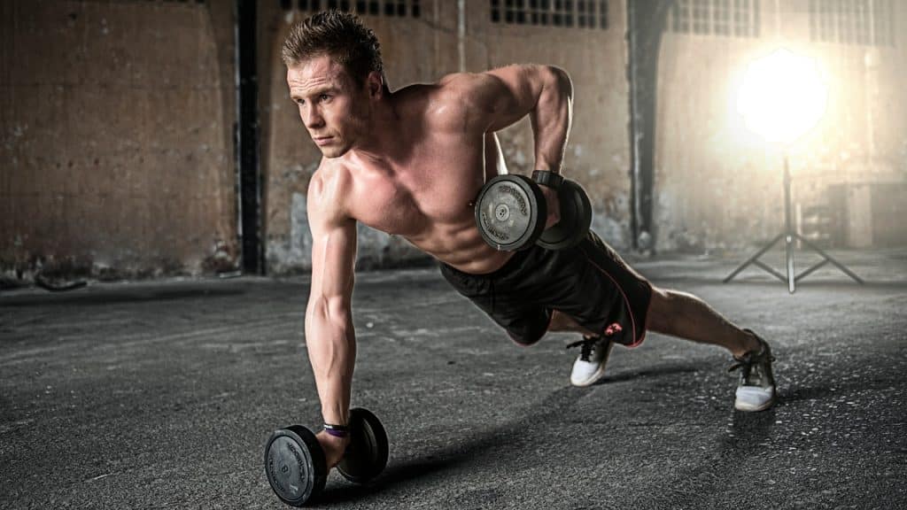 renforcement musculaire
