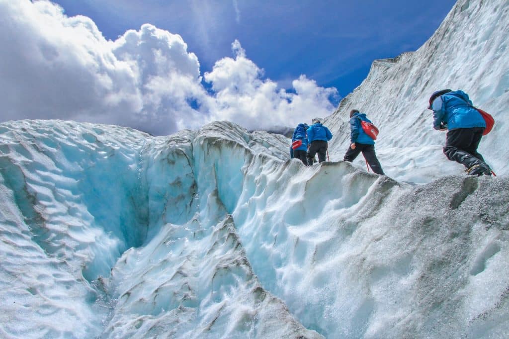 activités à faire sur la banquise arctique
