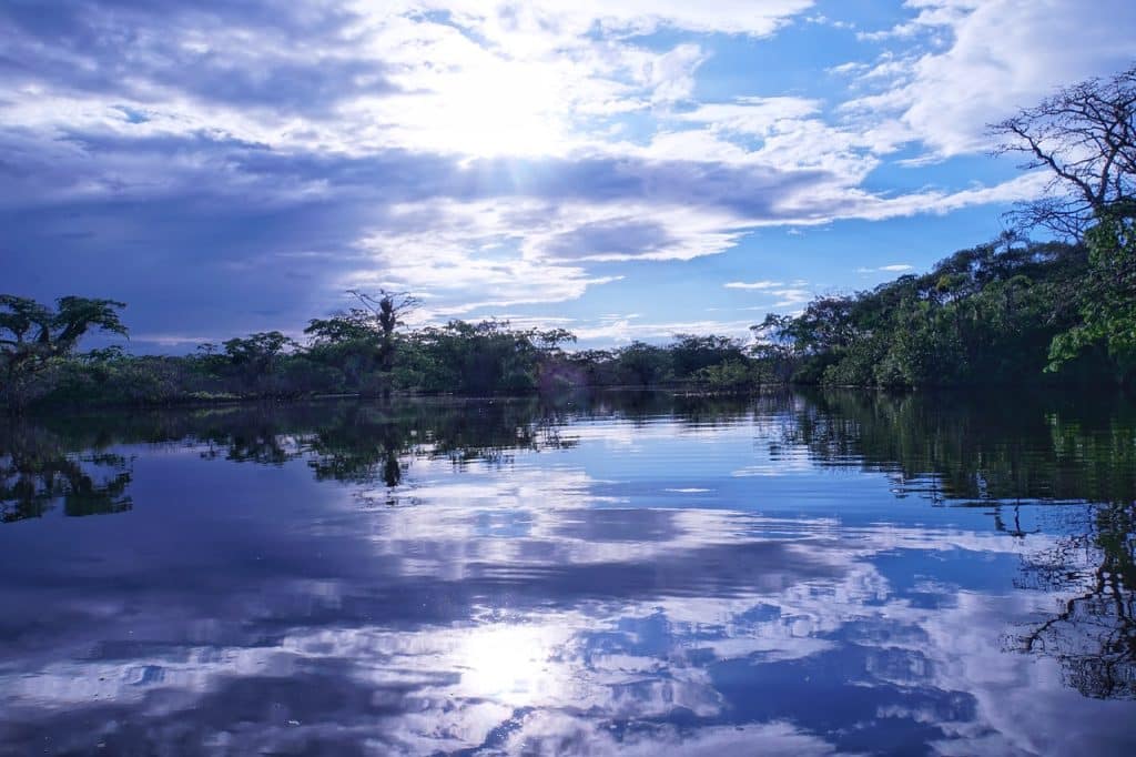 fleuve amazonie