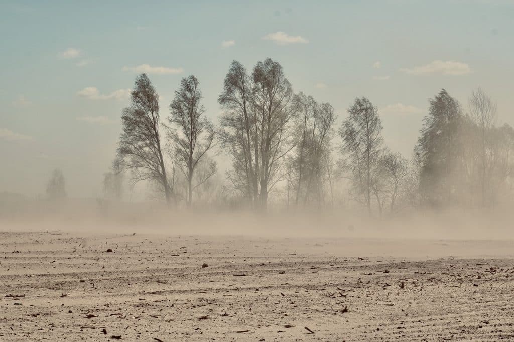 sandstorm
