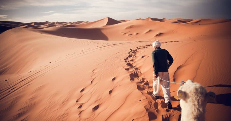 Sahara