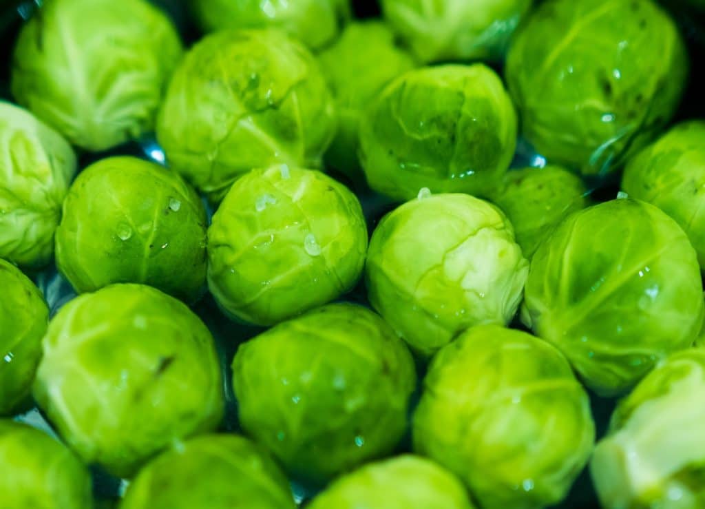 Choux de Bruxelles