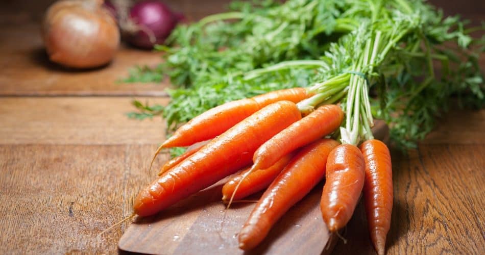 Carottes recettes
