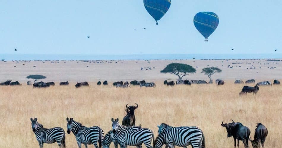 Réserve Naturelle de Masai Mara