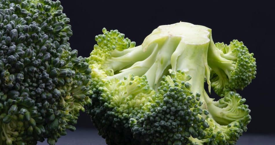 Brocoli