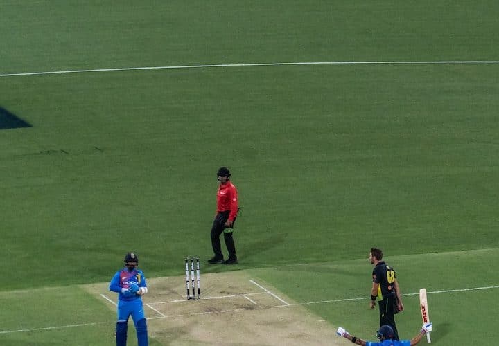 cricket