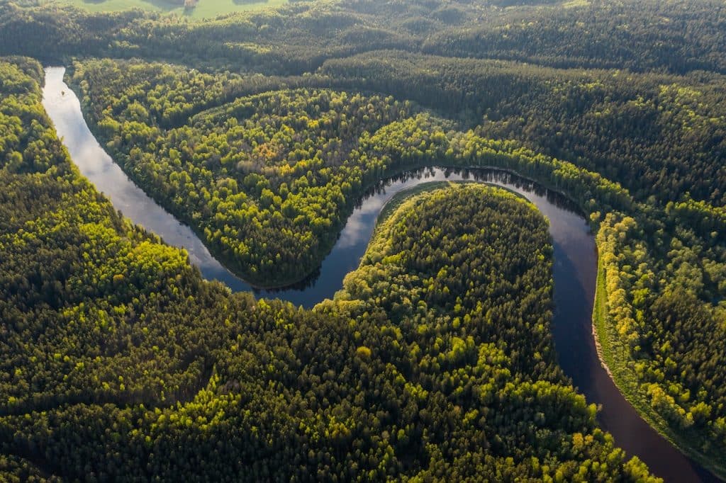 forêt tropicale d'amazonie